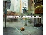 1位は『TOKYO JUNGLE』、初週11万本を売り上げる・・・週間売上ランキング(6月4日〜10日) 画像